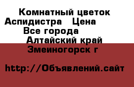 Комнатный цветок Аспидистра › Цена ­ 150 - Все города  »    . Алтайский край,Змеиногорск г.